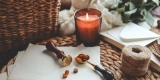 Top Wellness Tools for Veterans Managing Stress & Recovery
